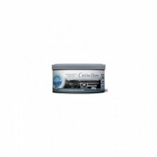 AROMATIZANTE CARRO ULTRA FESH CARRO NOVO  60GR